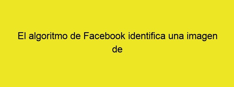 El Algoritmo De Facebook Identifica Una Imagen De Cebollas Como "sexualmente Explícita" (y No Es La Primera Vez Que Pasa Algo Así)