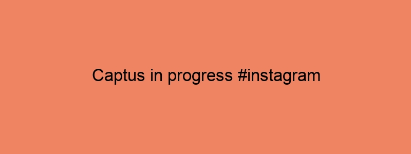 Captus In Progress #instagram