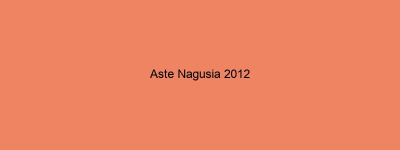 Aste Nagusia 2012