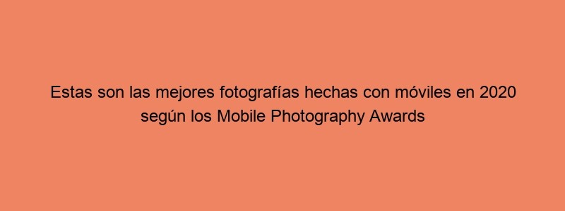 Estas Son Las Mejores Fotografías Hechas Con Móviles En 2020 Según Los Mobile Photography Awards