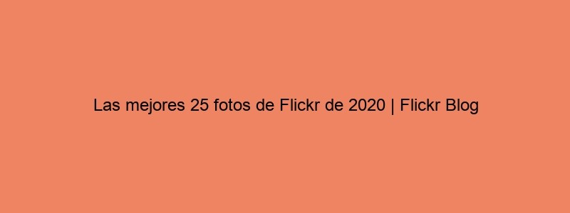 Las Mejores 25 Fotos De Flickr De 2020 | Flickr Blog