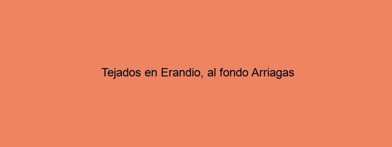 Tejados En Erandio, Al Fondo Arriagas