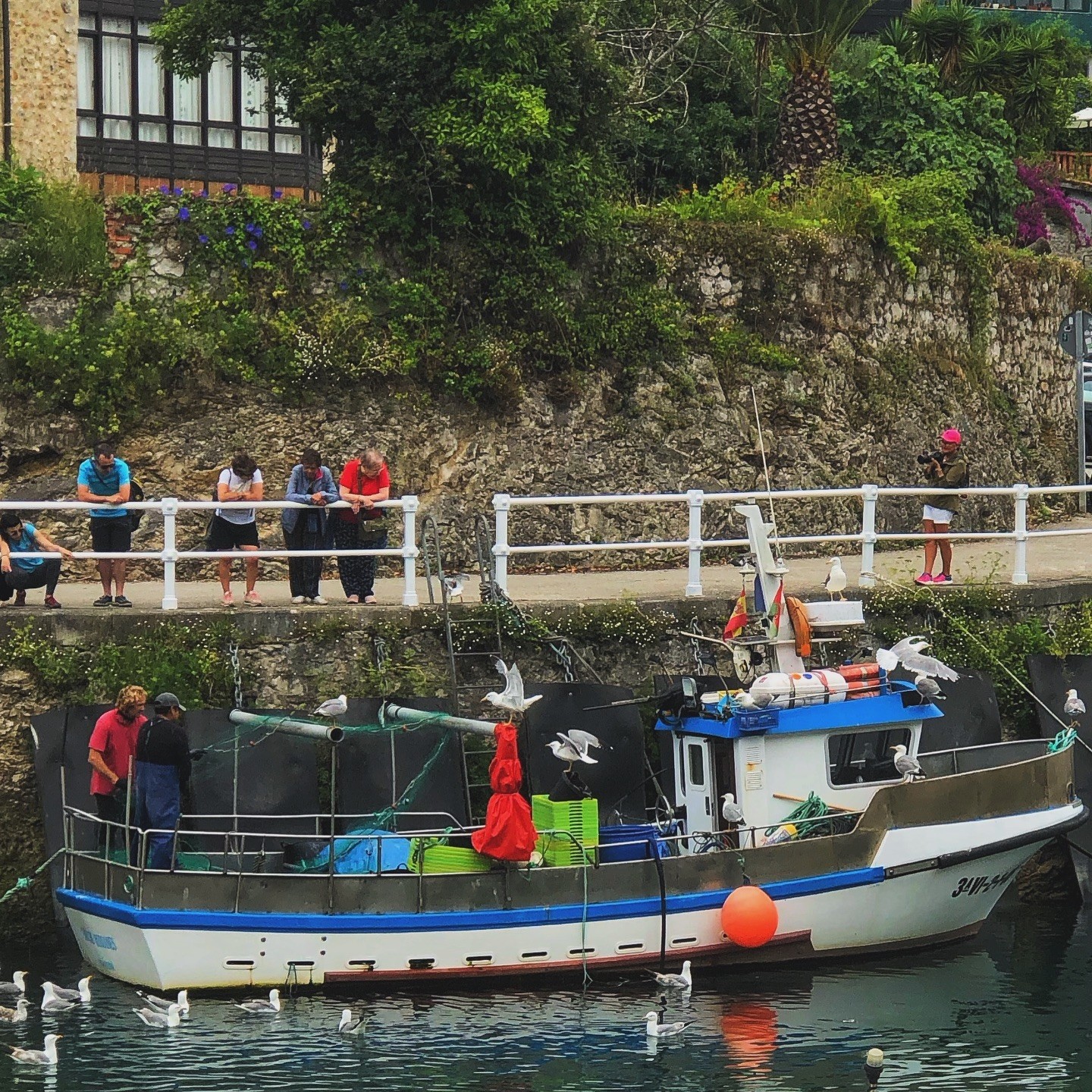 Descargando pescado..#ParaísoNatural #NaturalParadise #visitspain #planetaasturias #naturaleza_asturias #naturaleza_spain #estaes_españa #estaes_asturias #asturfotografia #asturias_ig #ig_asturias #asturigers #asturias_mola #total_rural #total_spain #total_asturias #total_landscapes #loves_spain_nature #loves_asturias
